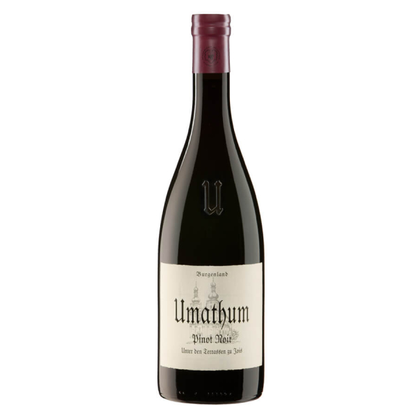 Pinot Noir unter den Terrassen zu Jois 2016 Umathum 0,75L